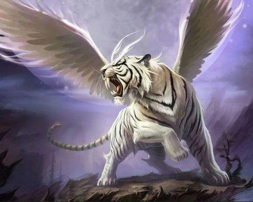 国产红旗白虎图片视频在线观看,领略国产豪车风采的视觉盛宴