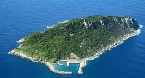 国产在线4k国岛专区,4K画质下的国产在线专区全景呈现