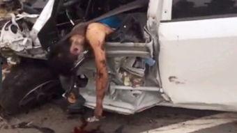 车祸接吻国产剧情视频在线播放,意外邂逅,爱在瞬间绽放