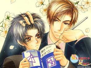 全员帅哥国产动漫在线