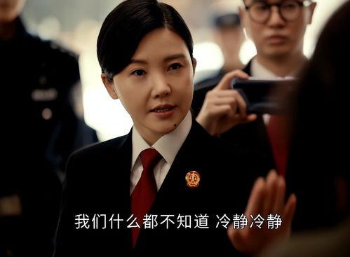 电视剧法官国产在线观看,国产剧中的正义之战